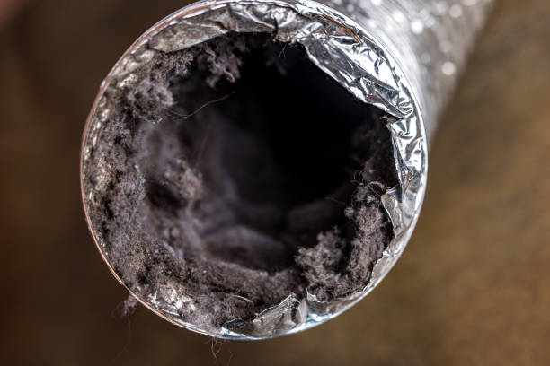 Best Air Duct Sanitizing Services  in Wrightsville Beach, NC